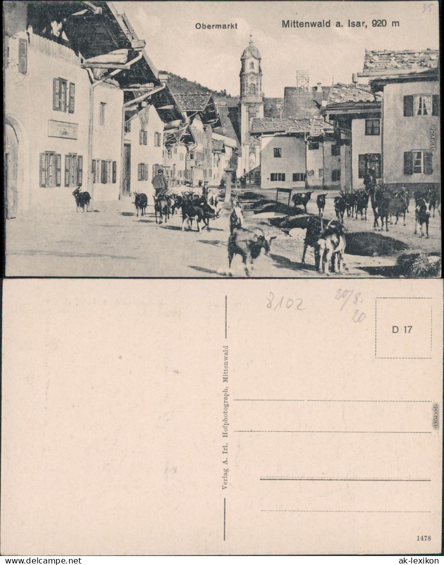 Ansichtskarte Mittenwald Zigen Auf Dem Obermarkt 1914  - Mittenwald