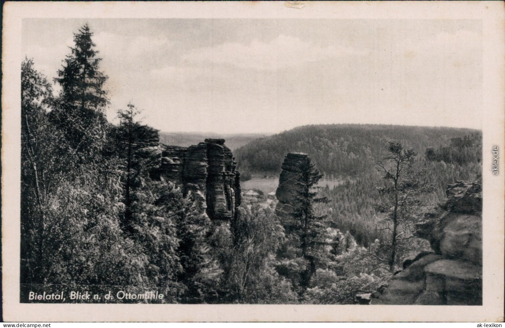 Ansichtskarte Rosenthal-Rosenthal-Bielatal Blick Nach Der Ottomühle 1955 - Rosenthal-Bielatal