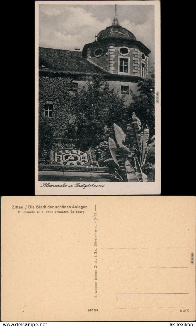 Ansichtskarte Zittau Blumenuhr - Stadtgärtnerei 1928  - Zittau