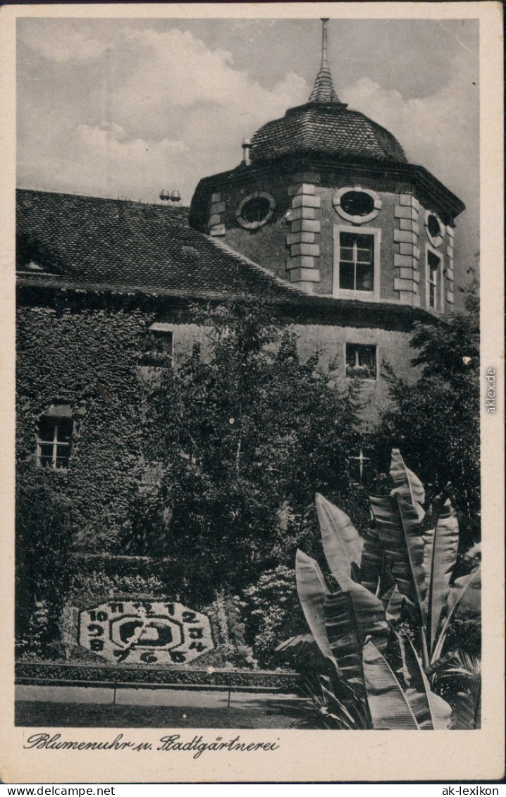 Ansichtskarte Zittau Blumenuhr - Stadtgärtnerei 1928  - Zittau