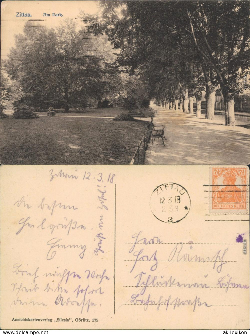 Ansichtskarte Zittau Straßenpartie Im Park 1923  - Zittau