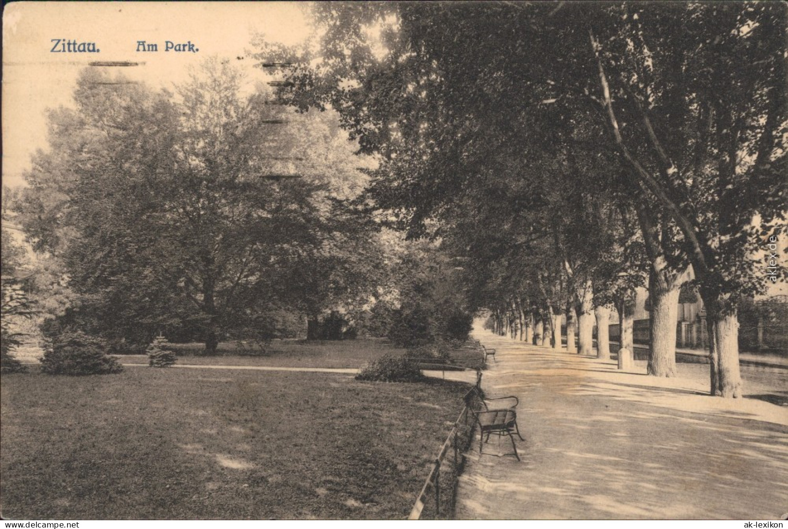 Ansichtskarte Zittau Straßenpartie Im Park 1923  - Zittau