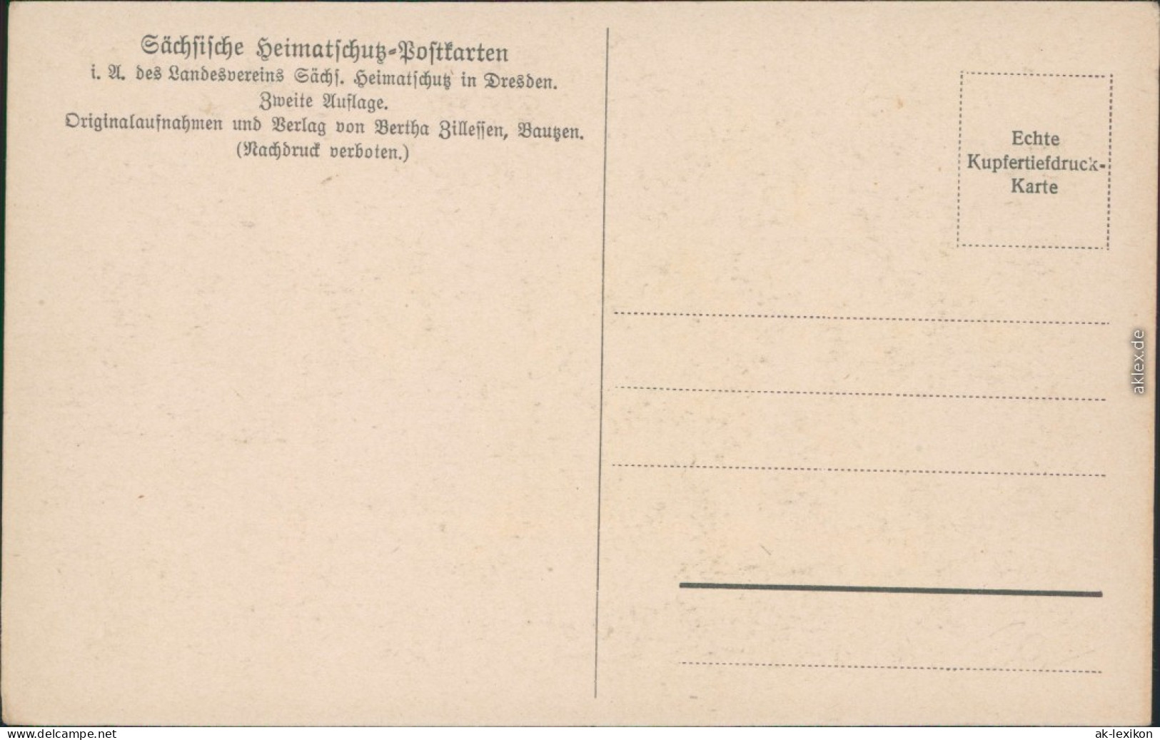 Ansichtskarte Zittau Portal Am Museum - Straße 1925  - Zittau