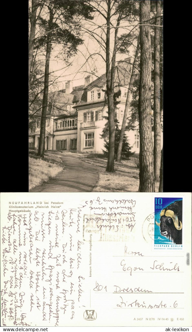 Neu Fahrland-Potsdam Kliniksanatorium Heinrich Heine - Hauptgebäude 1970 - Neu Fahrland