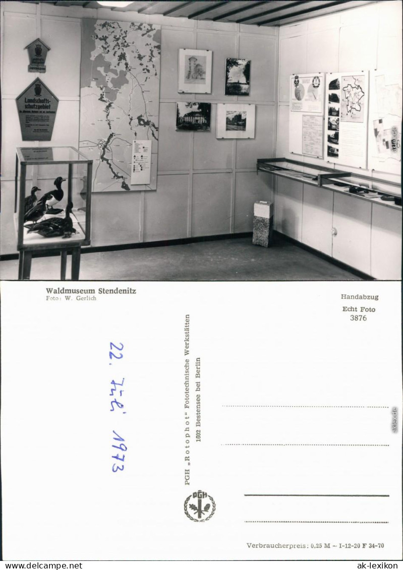 Ansichtskarte Stendenitz-Neuruppin Waldmuseum 1973 - Neuruppin