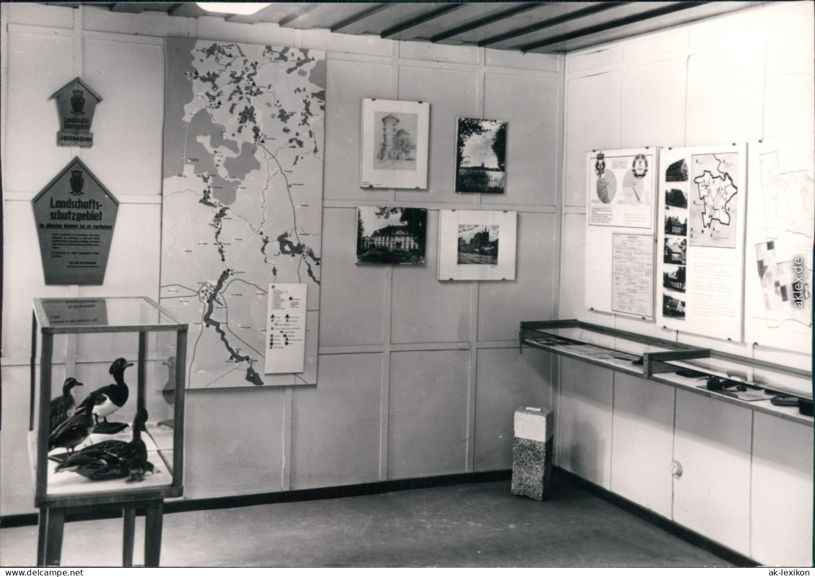 Ansichtskarte Stendenitz-Neuruppin Waldmuseum 1973 - Neuruppin