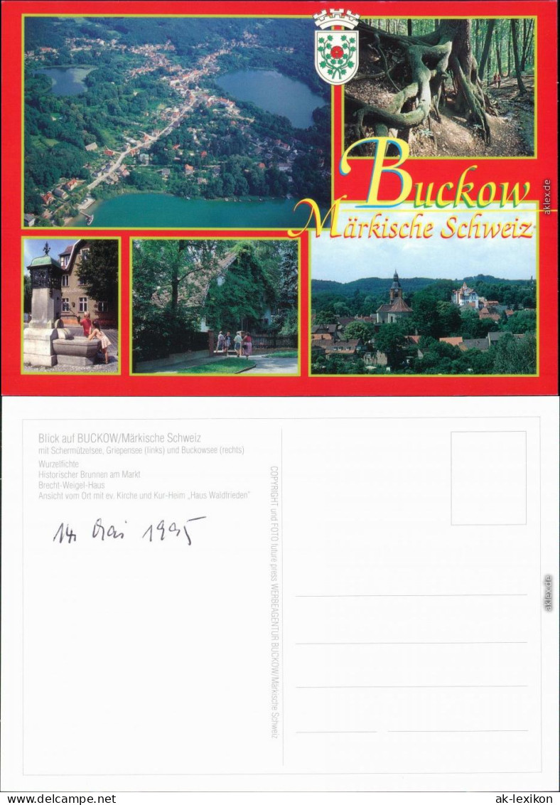 Buckow (Märkische Schweiz)  , Wurzelfichte  Markt, Brecht-Weigel-Haus 1995 - Buckow