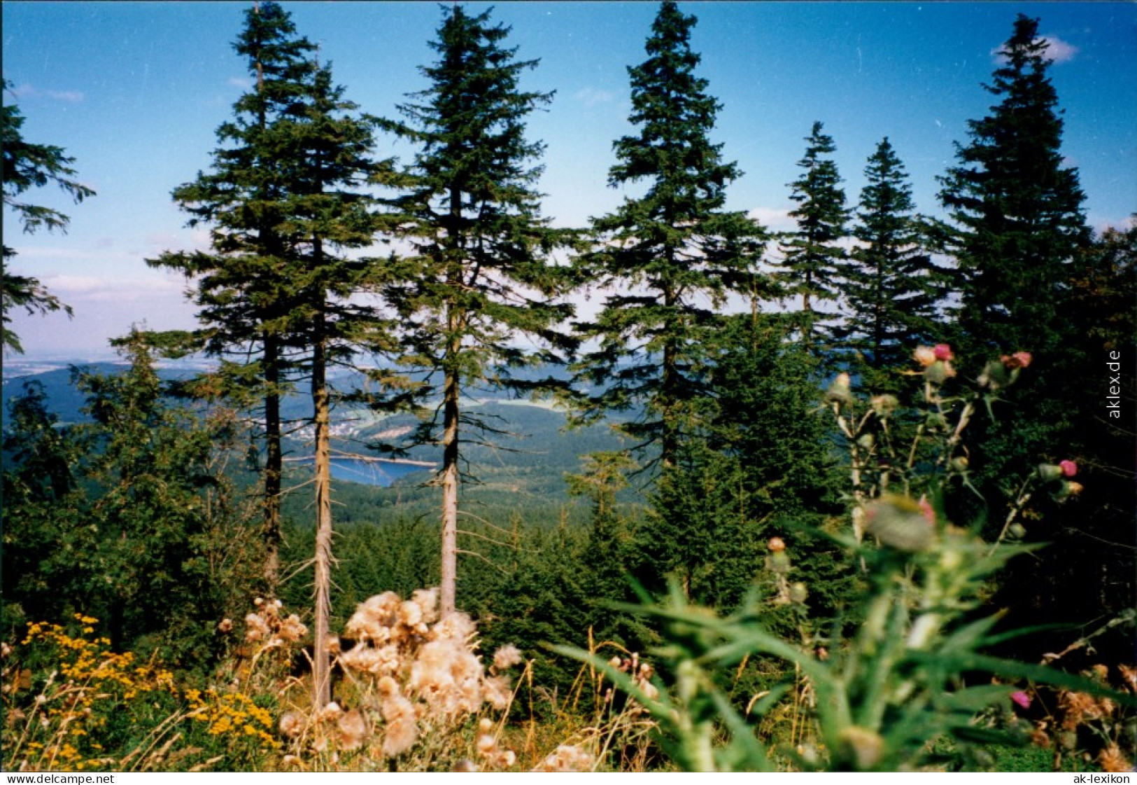 Ansichtskarte Blauenthal-Eibenstock Panorama 1995 - Eibenstock