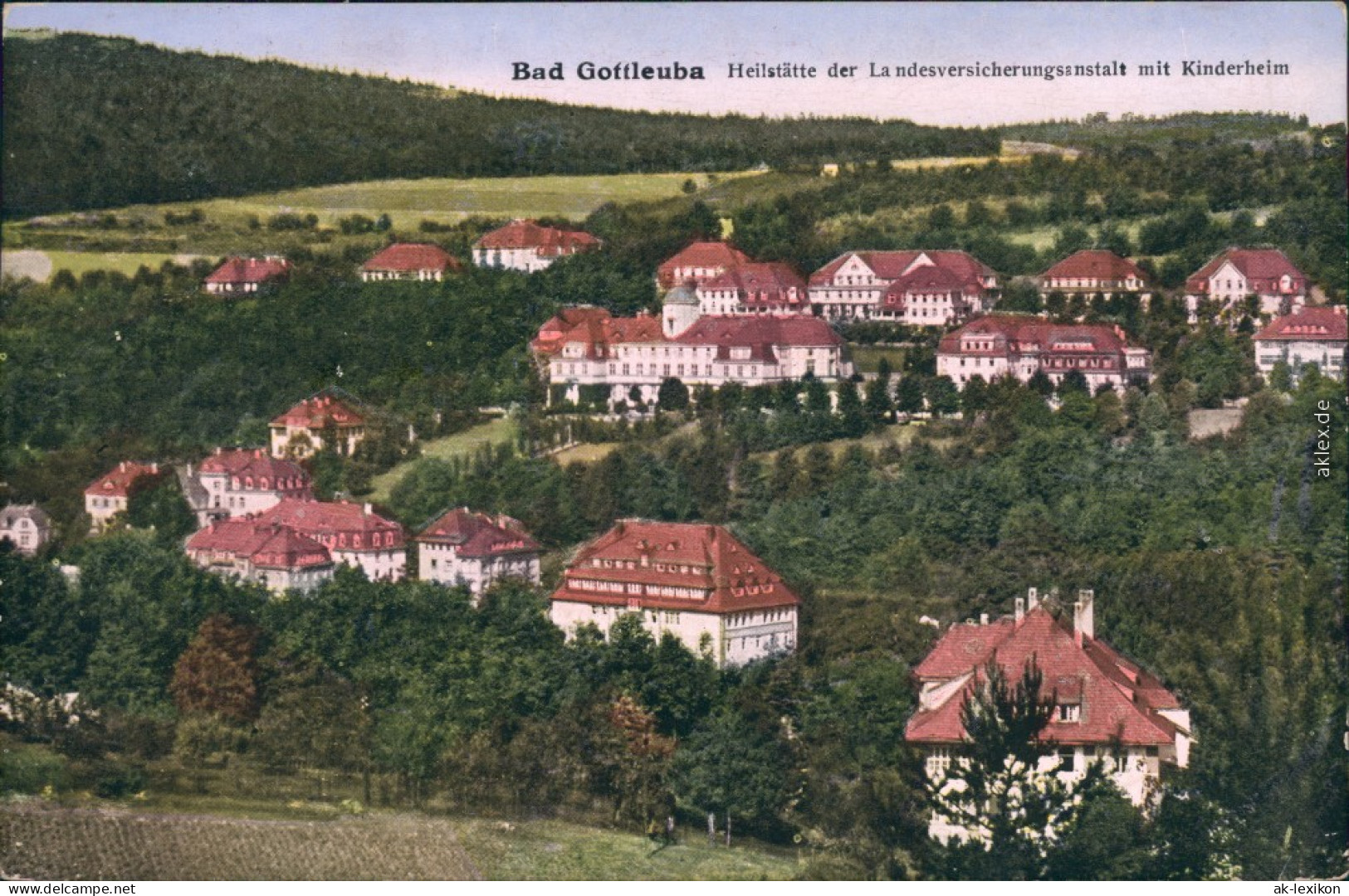 Bad Gottleuba-Bad Gottleuba-Berggießhübel Panorama-Ansicht 1904 - Bad Gottleuba-Berggiesshübel