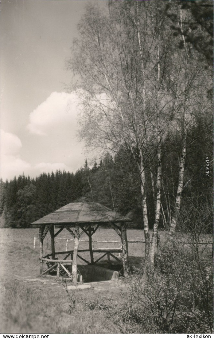 Ansichtskarte Schönberg-Bad Brambach Säuerling-Quelle 1965 - Bad Brambach