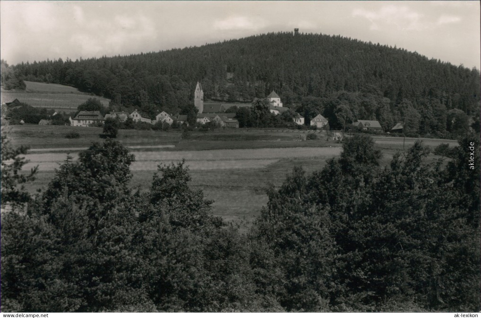 Ansichtskarte Schönberg Am Kapellenberg-Bad Brambach Blick Auf Den Ort 1965 - Bad Brambach