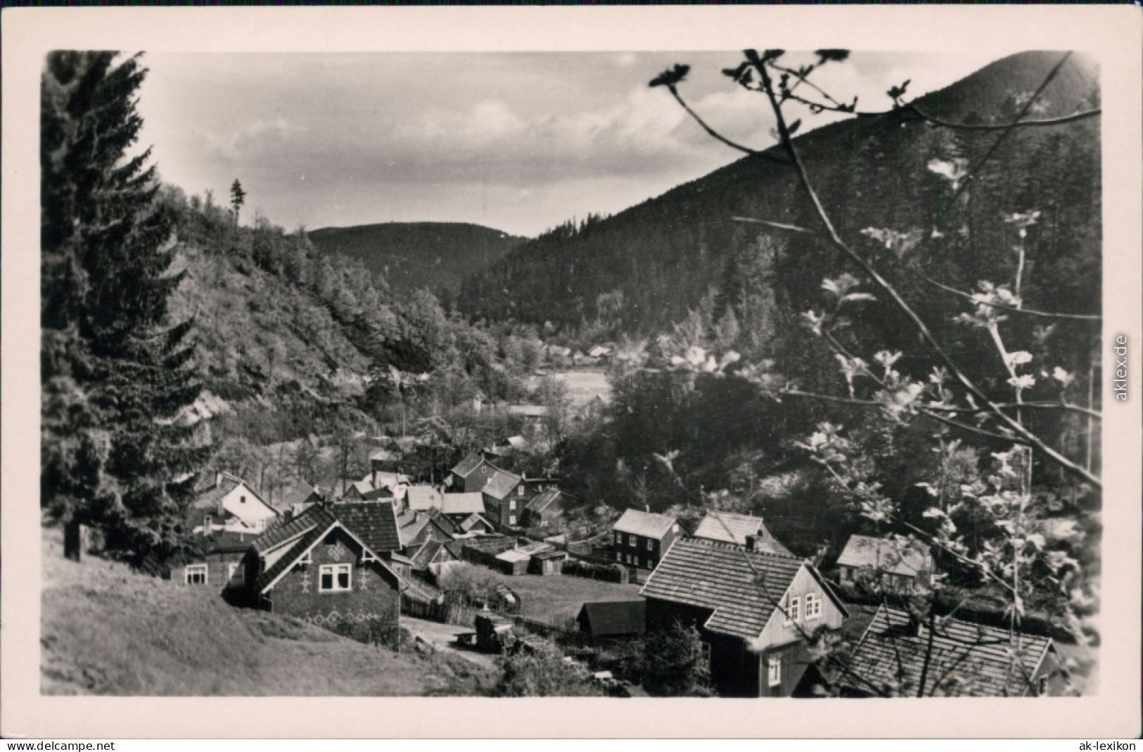 Ansichtskarte Oberhof (Thüringen) Blick Auf Den Ort X 1955 - Oberhof