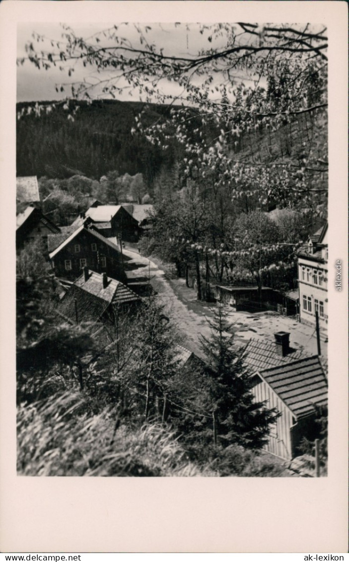 Ansichtskarte Oberhof (Thüringen) Straße 1955 - Oberhof