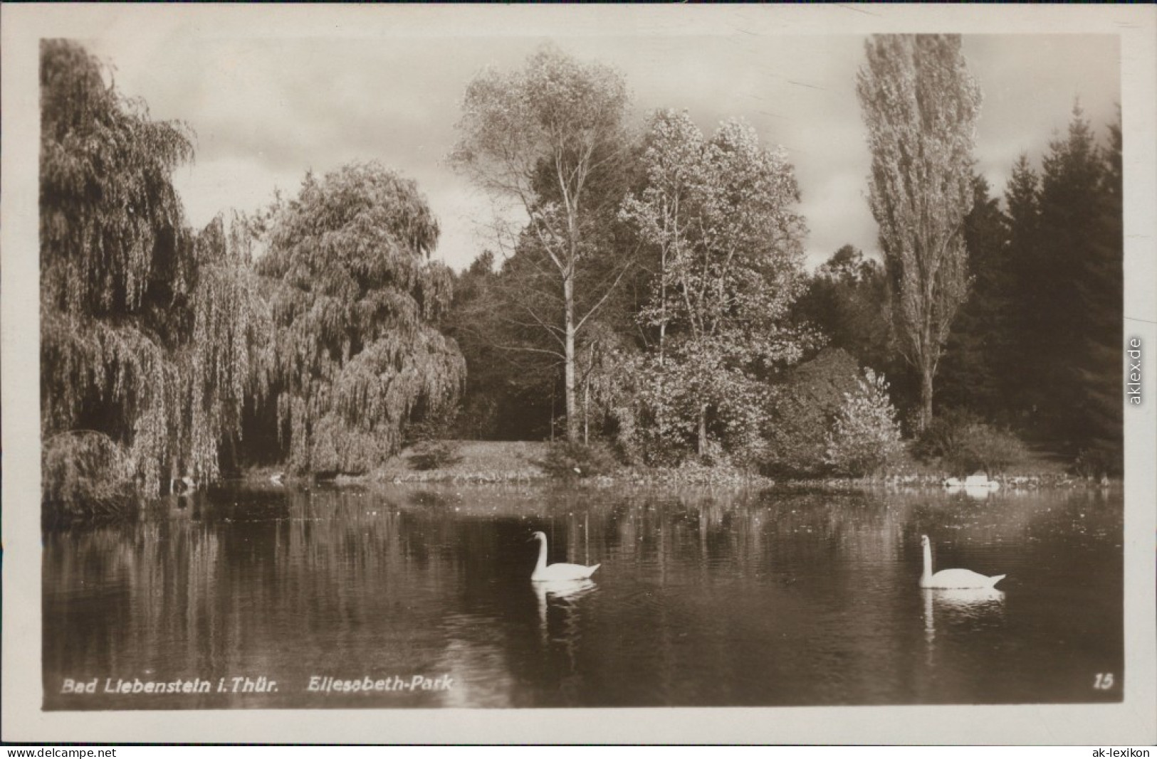 Ansichtskarte Bad Liebenstein Elisabeth-Park - Schwanenteich 1930 - Bad Liebenstein