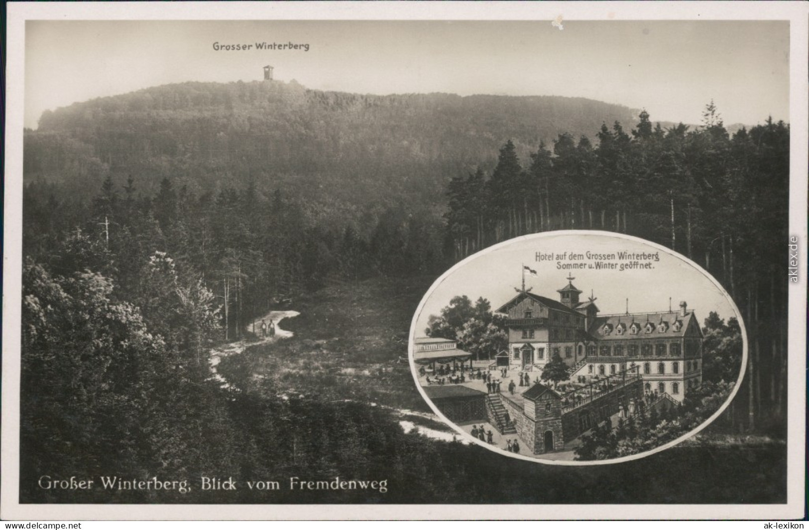 Ansichtskarte Schmilka Großer Winterberg 1930 - Schmilka