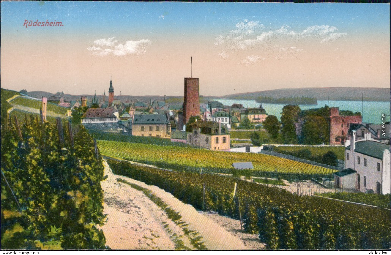 Ansichtskarte Rüdesheim (Rhein) Blick Auf Die Stadt 1915 - Rüdesheim A. Rh.