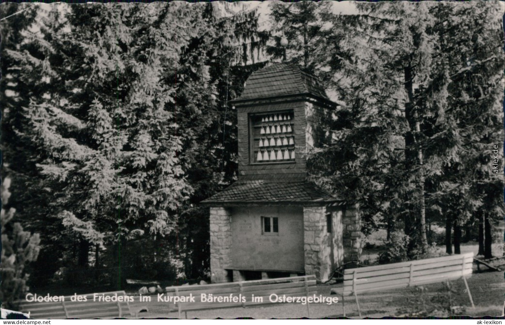 Bärenfels (Erzgebirge)-Altenberg  Glocken Des Friedens Im Kurpark 1959 - Altenberg