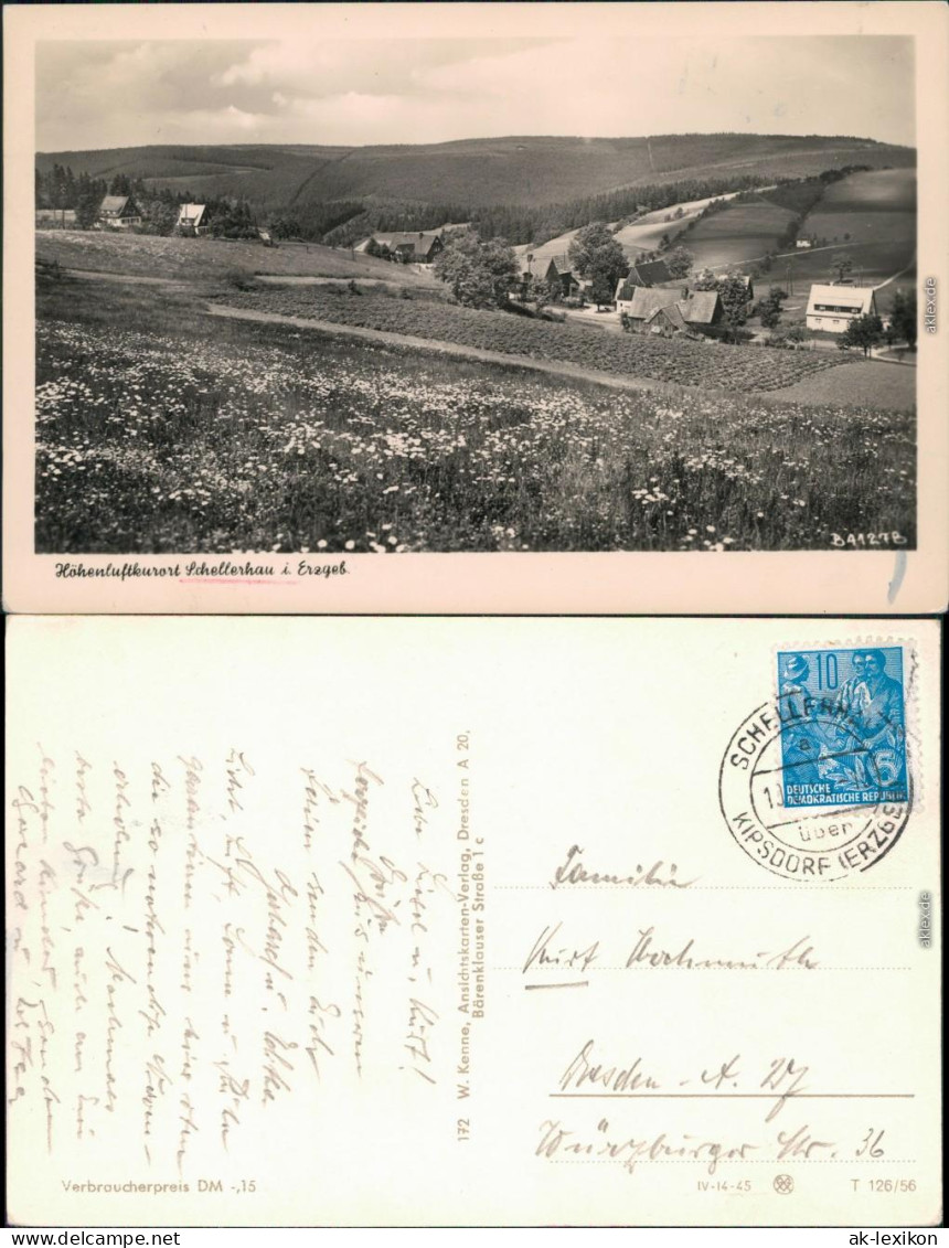 Ansichtskarte Schellerhau-Altenberg (Erzgebirge) Blick Auf Den Ort 1956 - Schellerhau