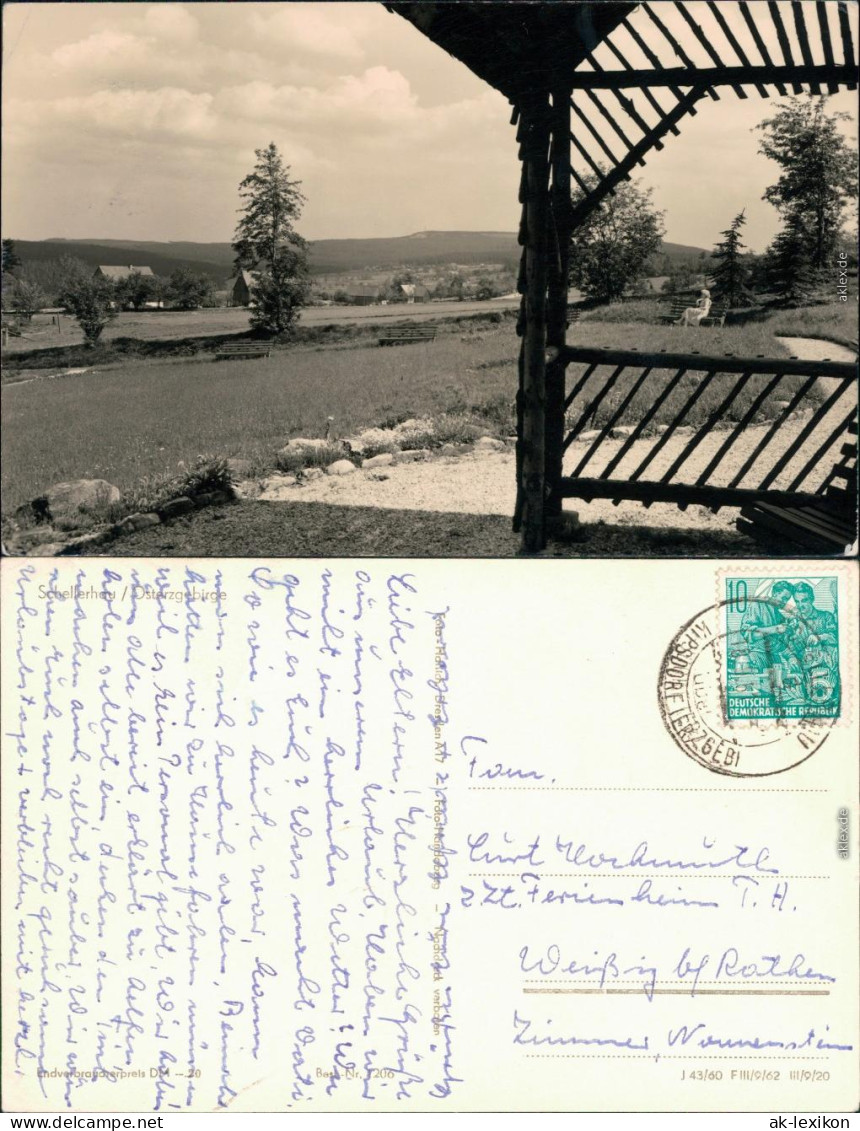 Ansichtskarte Schellerhau-Altenberg (Erzgebirge) Park Mit Bänken 1960 - Schellerhau