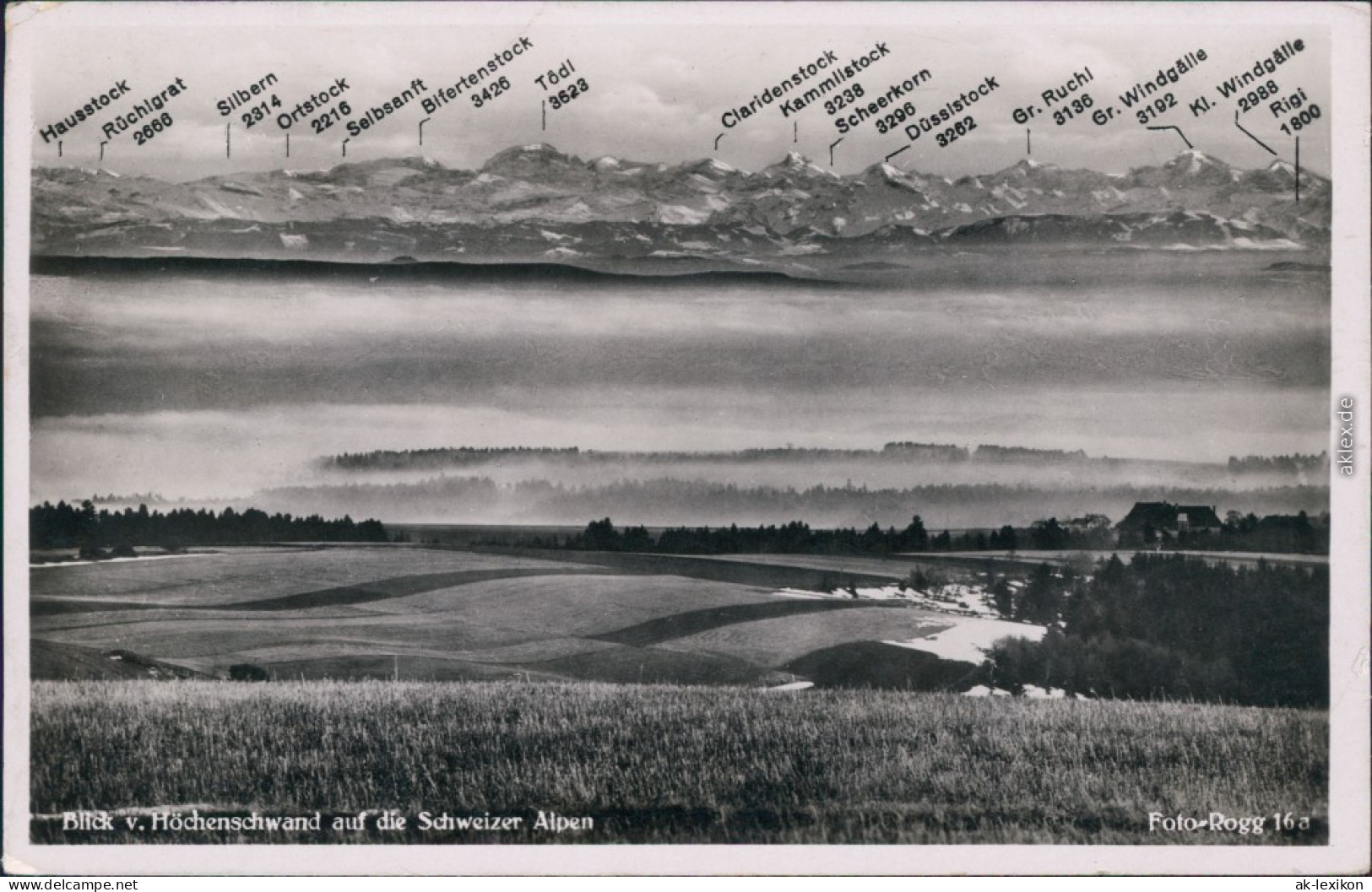 Ansichtskarte Blick V. Höchenschwand Auf Die Schweizer Alpen 1940 - Höchenschwand