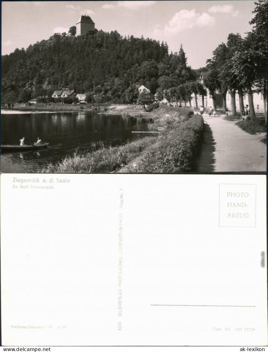 Ansichtskarte Ziegenrück&#47;Saale Dr. Reif Promenade 1962 - Ziegenrück