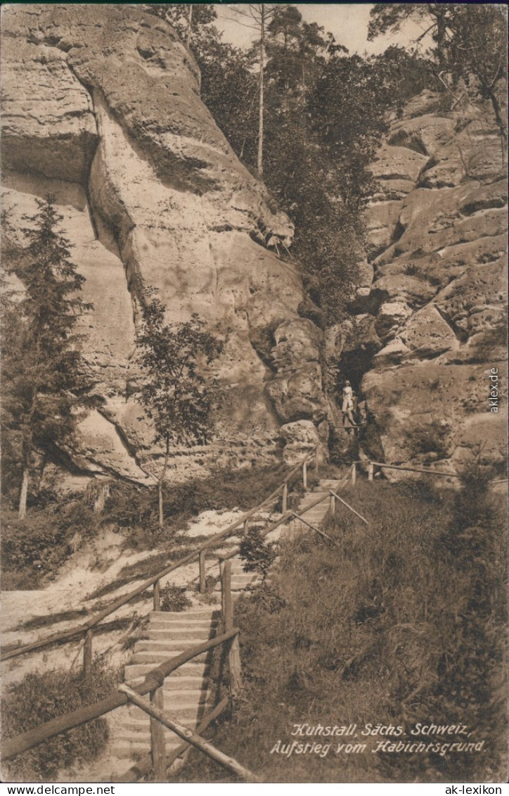 Ansichtskarte Kirnitzschtal Kuhstall - Aufstieg Vom Habichtsgrund 1928 - Kirnitzschtal