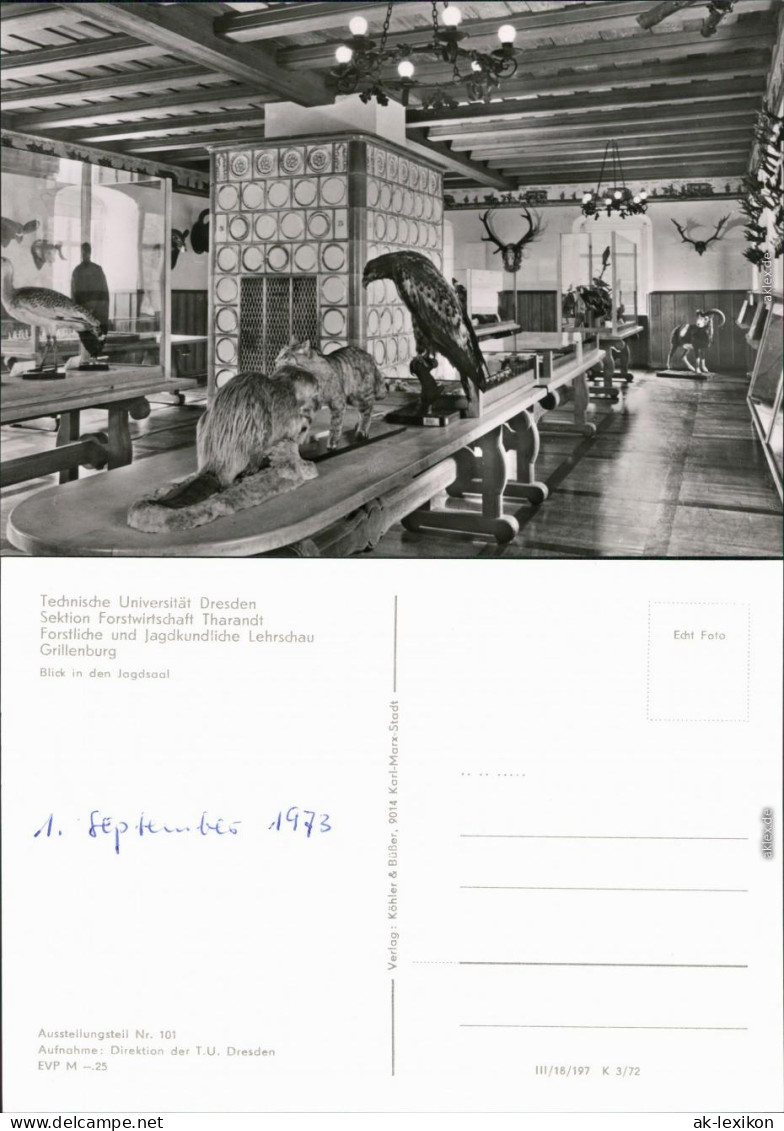 Grillenburg-Tharandt Technische Universität Dresden   Jagdsaal 1972 - Tharandt