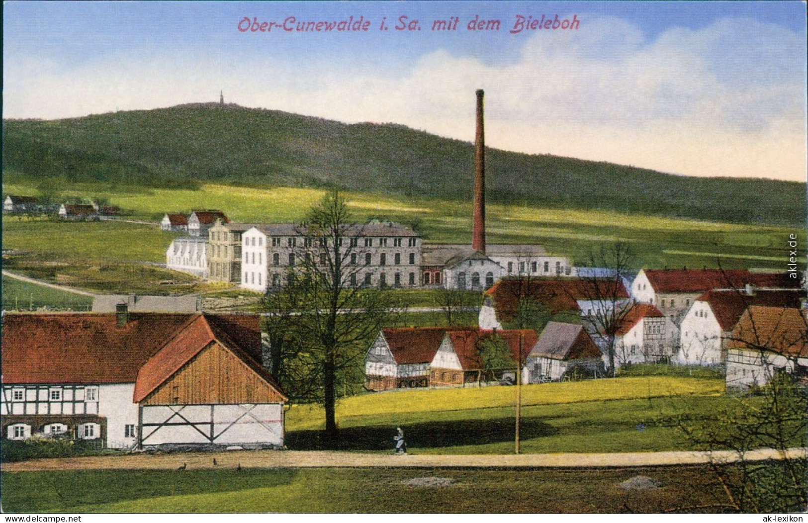 Cunewalde (Oberlausitz) Kumwałd Repro - Blick Auf Die Stadt 1910/1999 - Cunewalde