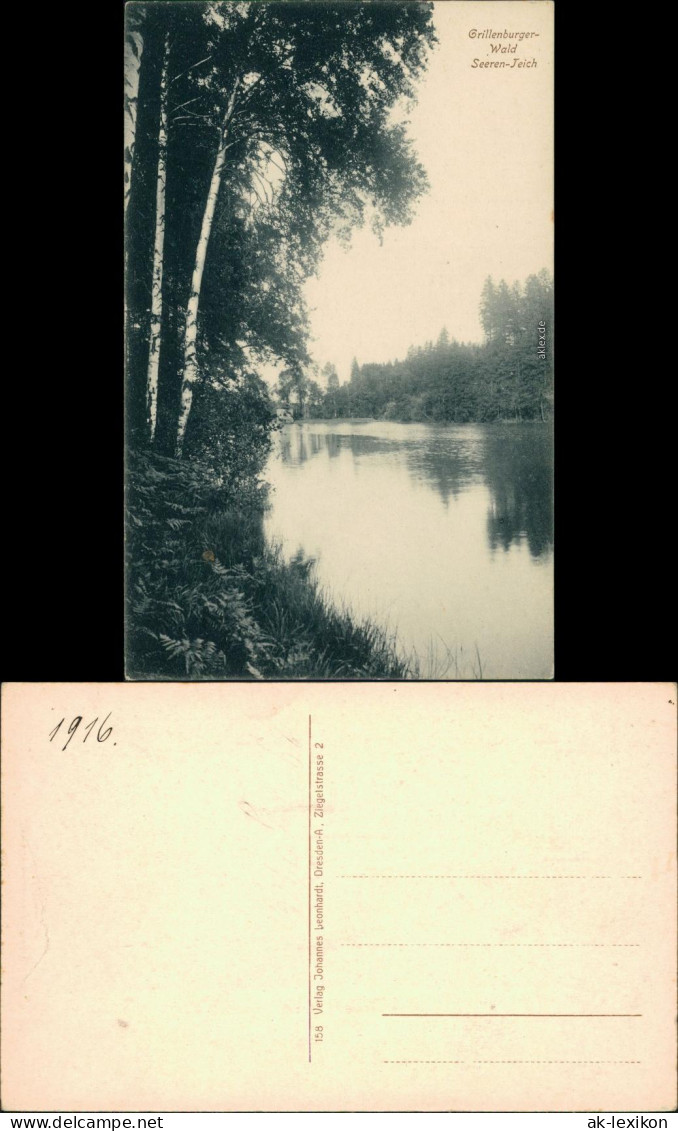 Ansichtskarte Grillenburg-Tharandt Grillenburger Wald Seeren-Teich SW 1916  - Tharandt