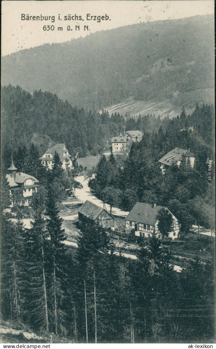 Ansichtskarte Bärenburg-Altenberg (Erzgebirge) Blick Auf Den Ort 1925 - Altenberg