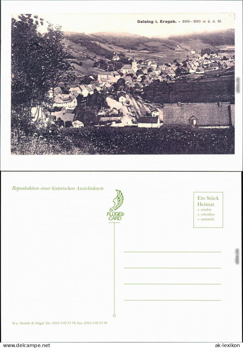 Ansichtskarte Geising-Altenberg (Erzgebirge) Panorama - Repro 1980 - Geising