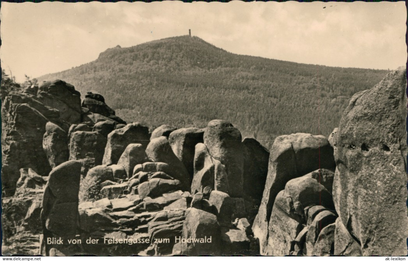 Ansichtskarte Oybin Blick Von Der Felsengasse Zum Hochwald 1958 - Oybin