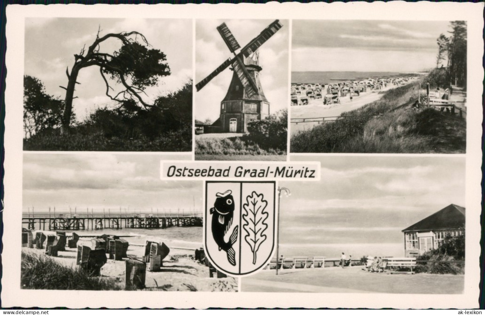 Ansichtskarte Graal-Müritz Düne, Windmühle, Strand, Promenade 1961 - Graal-Müritz