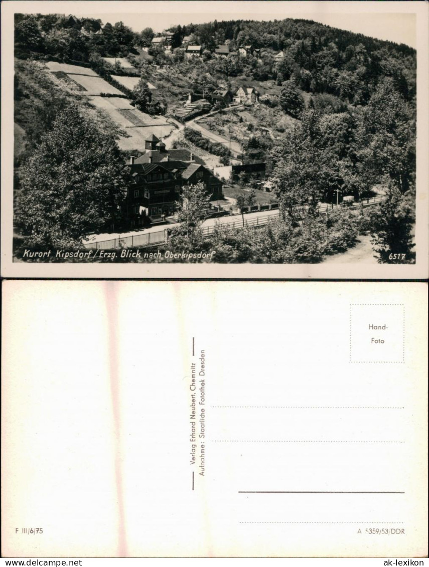 Ansichtskarte Kipsdorf-Altenberg (Erzgebirge) Blick Nach Oberkipsdorf 1953 - Kipsdorf