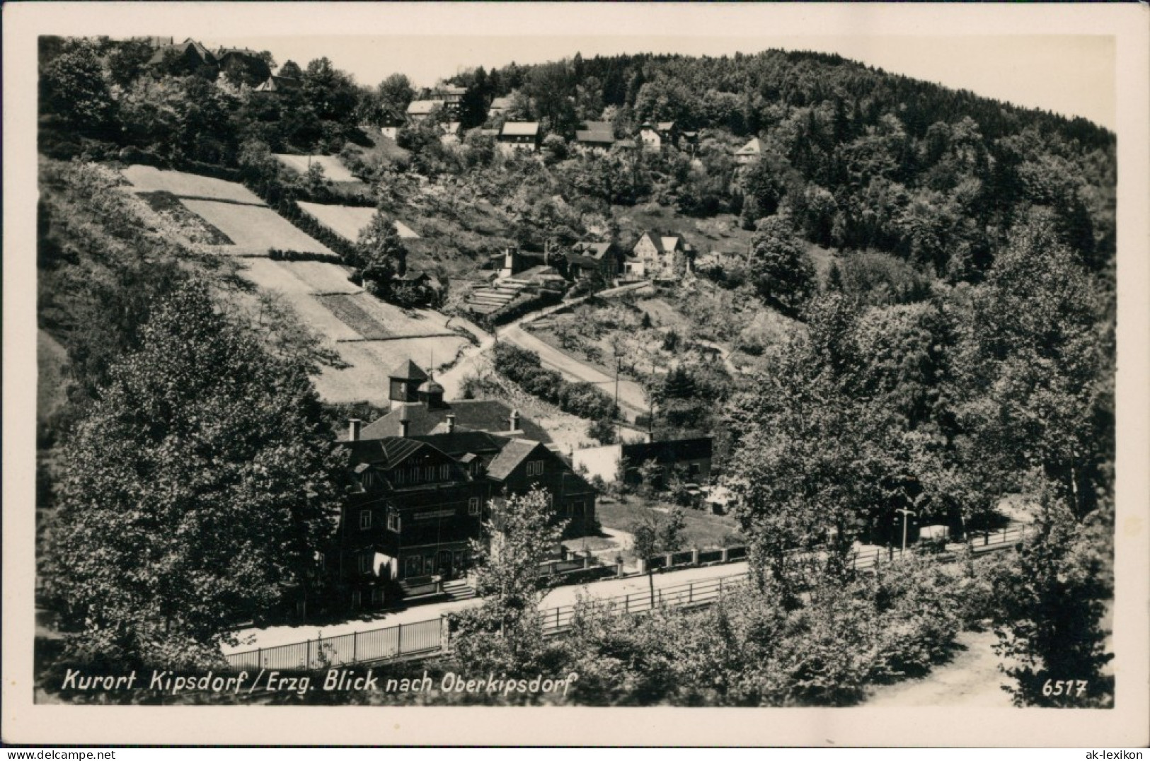 Ansichtskarte Kipsdorf-Altenberg (Erzgebirge) Blick Nach Oberkipsdorf 1953 - Kipsdorf