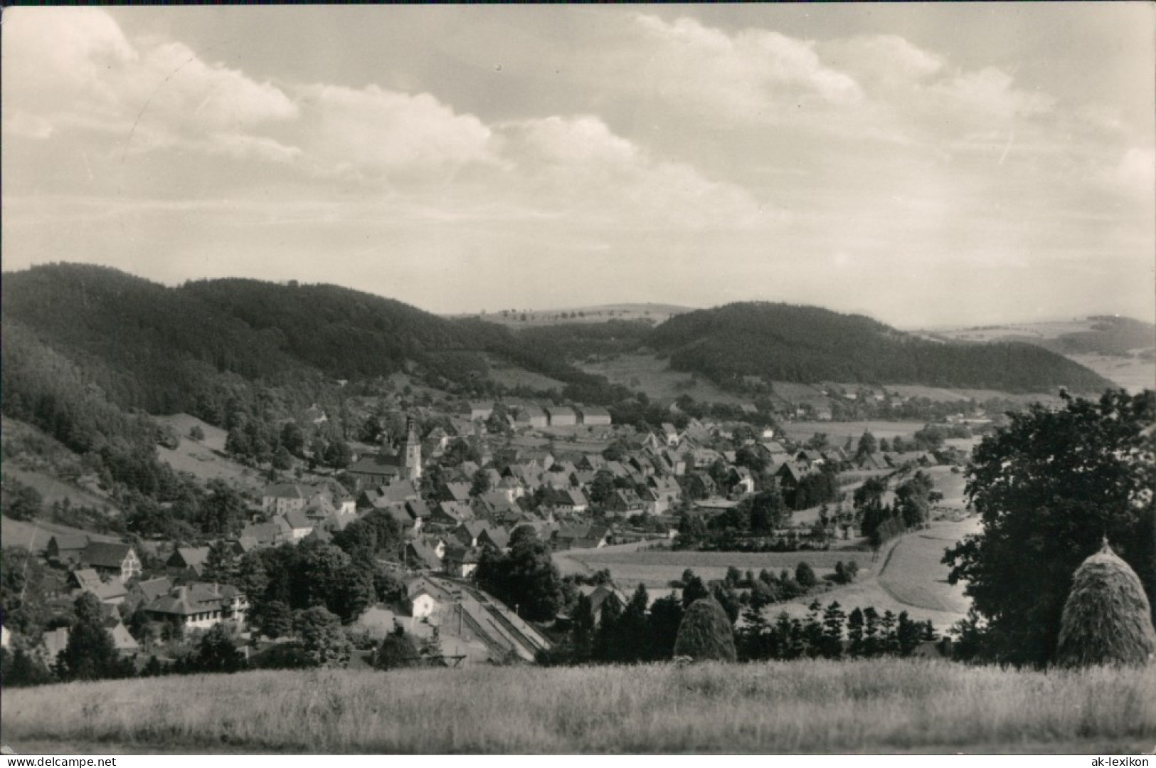 Ansichtskarte Geising-Altenberg (Erzgebirge) Blick Auf Den Ort 1966 - Geising