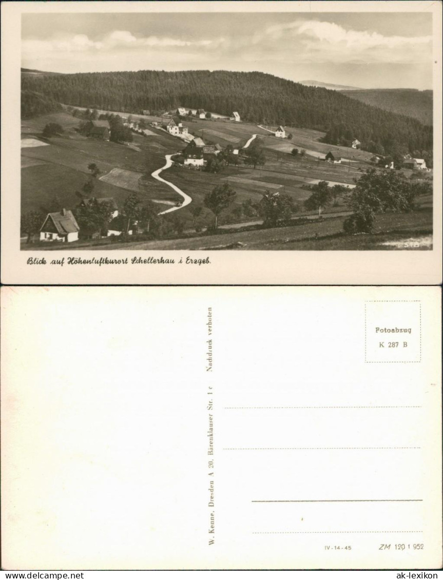 Ansichtskarte Schellerhau-Altenberg (Erzgebirge) Blick Auf Den Ort 1952 - Schellerhau