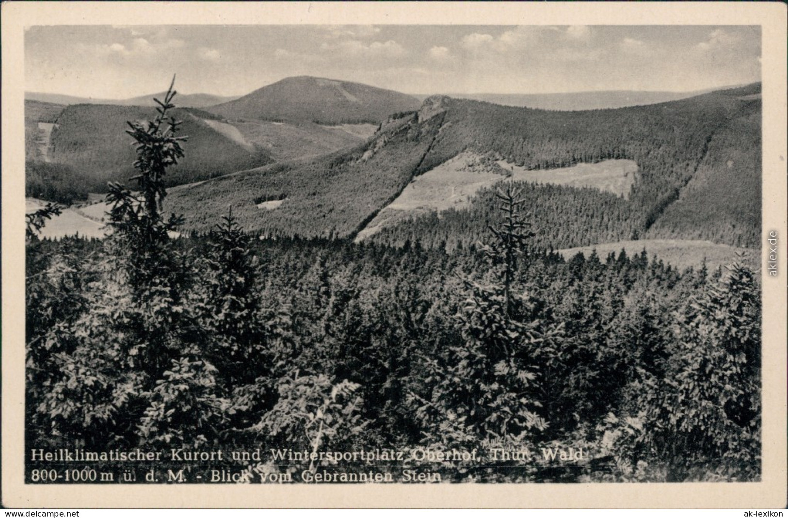 Ansichtskarte Oberhof (Thüringen) Panorama-Ansicht Mit Fernblick 1920 - Oberhof