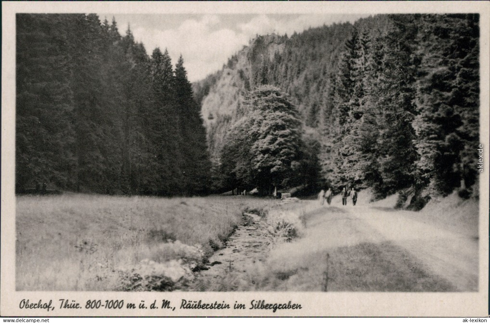 Ansichtskarte Oberhof (Thüringen) Räuberstein Im Silbergraben 1920 - Oberhof