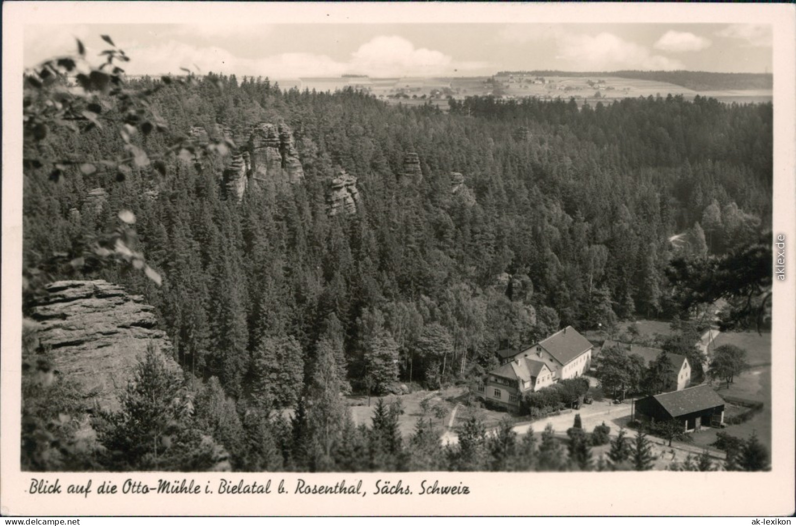 Rosenthal-Rosenthal-Bielatal Blick Auf Die Ottomühle - Panorama 1956 - Rosenthal-Bielatal