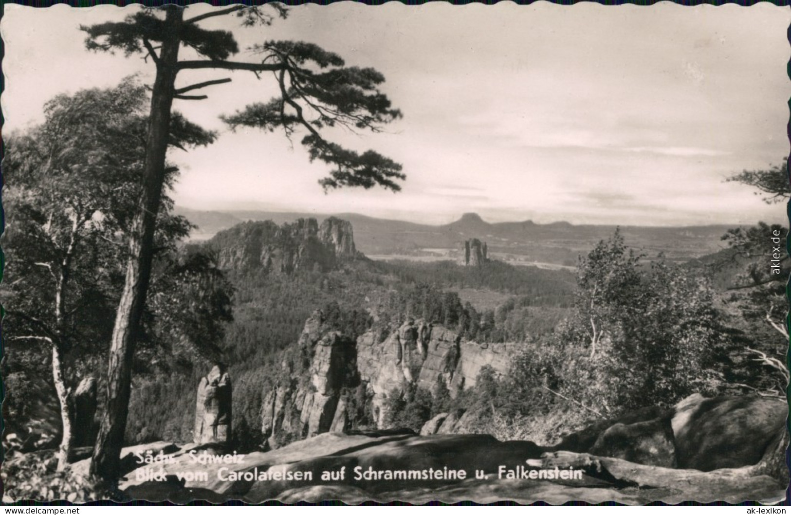 Bad Schandau Blick Von Carolafelsen Auf Schrammsteine U. Falkenstein 1963 - Bad Schandau