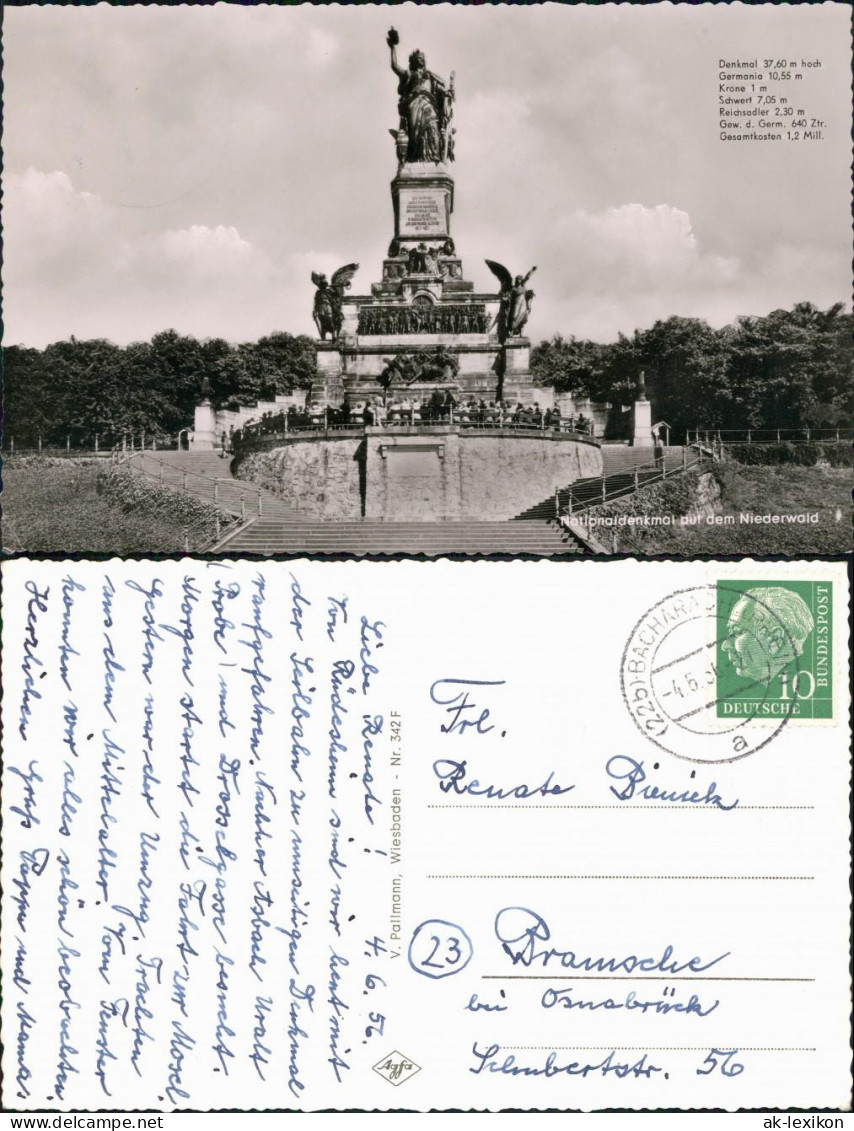 Ansichtskarte Rüdesheim (Rhein) National-Denkmal / Niederwalddenkmal 1956 - Rüdesheim A. Rh.