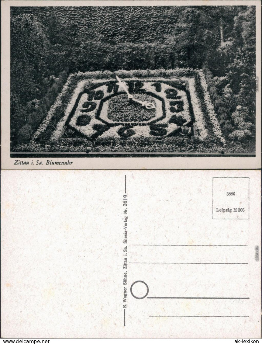 Ansichtskarte Zittau Blumenuhr 1955 - Zittau