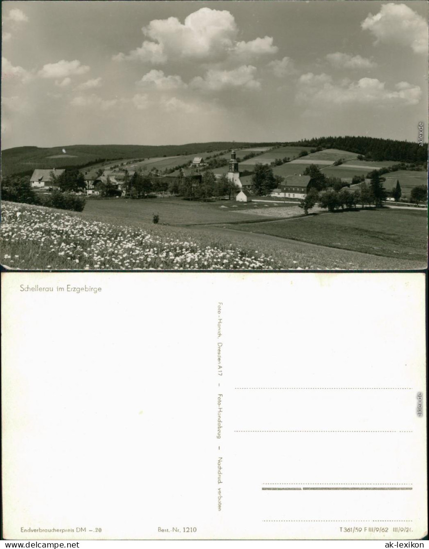 Schellerhau-Altenberg (Erzgebirge) Panorama-Ansicht Mit Kirche 1962 - Schellerhau