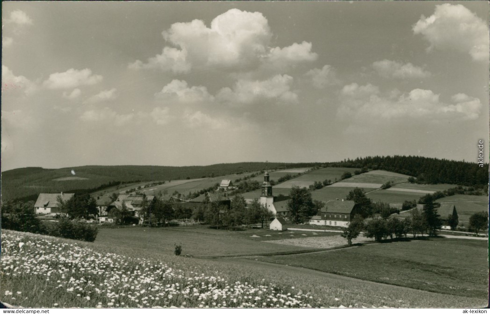 Schellerhau-Altenberg (Erzgebirge) Panorama-Ansicht Mit Kirche 1962 - Schellerhau