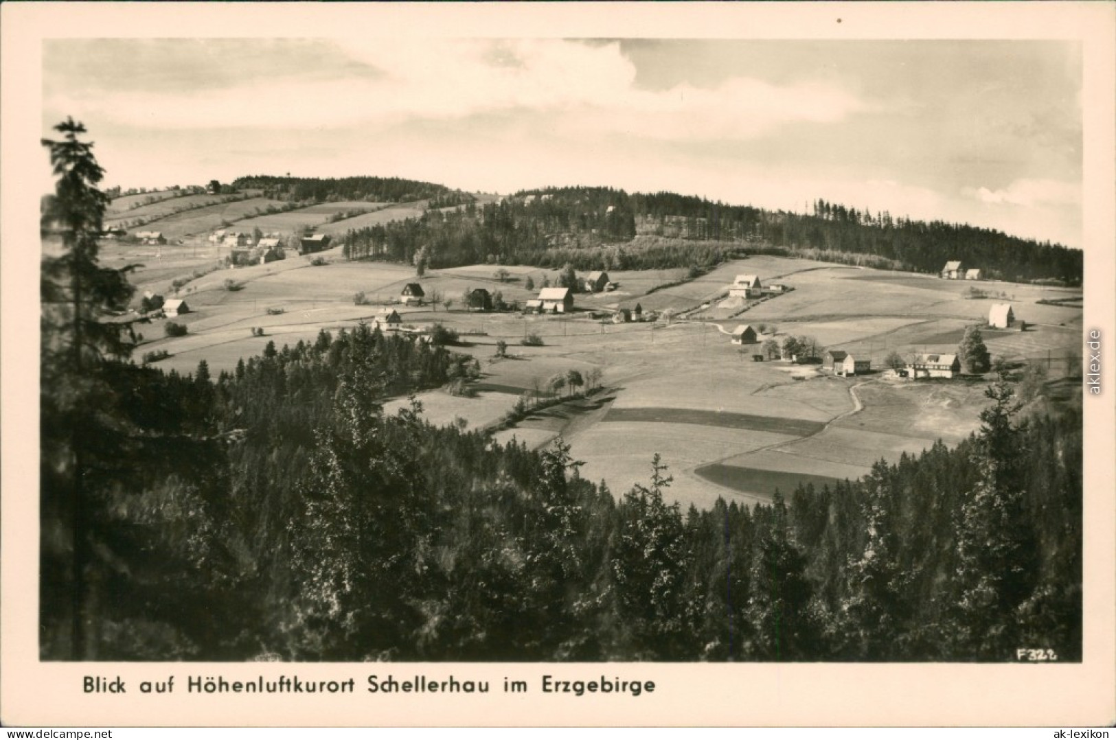 Ansichtskarte Schellerhau-Altenberg (Erzgebirge) Panorama-Ansicht 1961 - Schellerhau