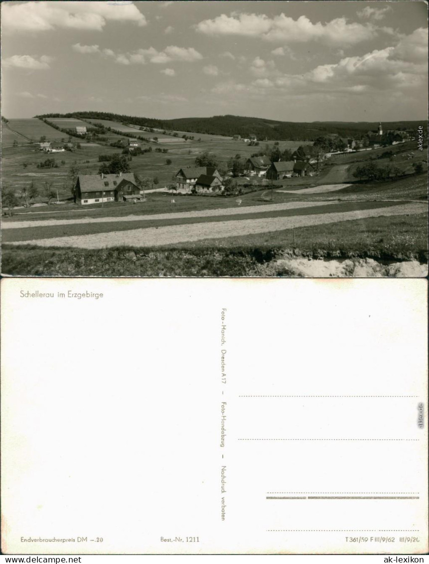 Schellerhau-Altenberg (Erzgebirge) Panorama-Ansicht  Felder Mit Bauernhöfe 1962 - Schellerhau