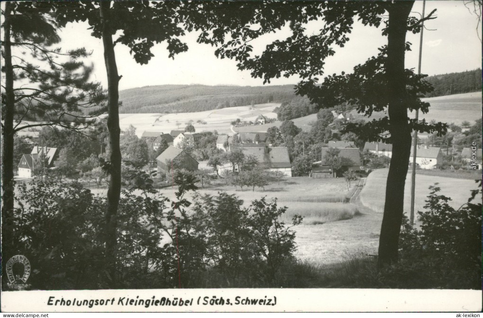 Ansichtskarte Kleingießhübel-Reinhardtsdorf-Schöna Blick Auf Den Ort 1963 - Schoena