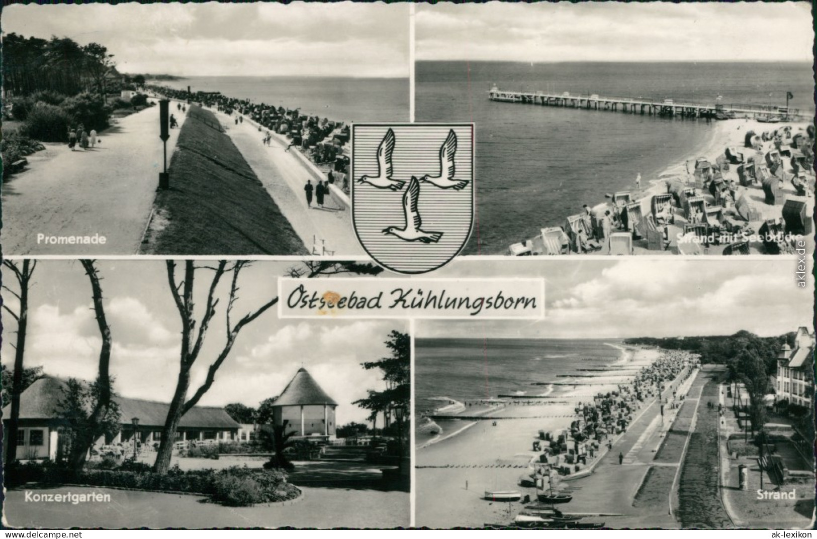 Ansichtskarte Kühlungsborn Promenade, Strand, Konzertgarten 1958 - Kühlungsborn