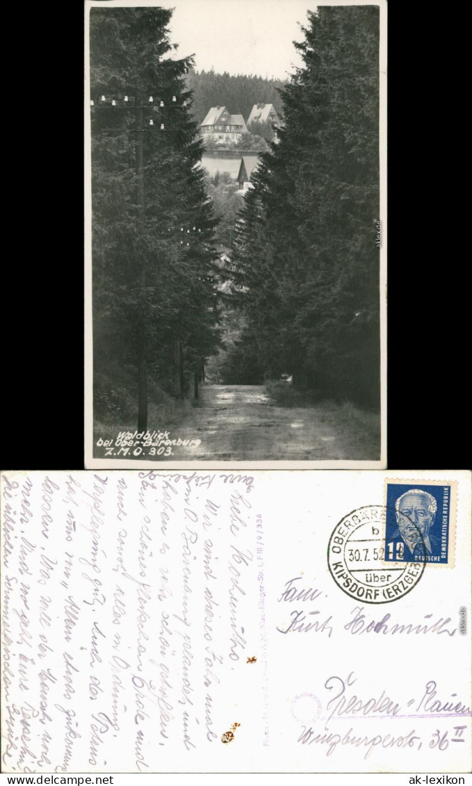 Ansichtskarte Bärenburg-Altenberg (Erzgebirge) Waldblick Zum Ort 1952  - Altenberg